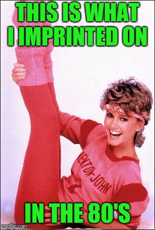 Tame by today's standards | THIS IS WHAT I IMPRINTED ON; IN THE 80'S | image tagged in olivia newton-john,physical | made w/ Imgflip meme maker