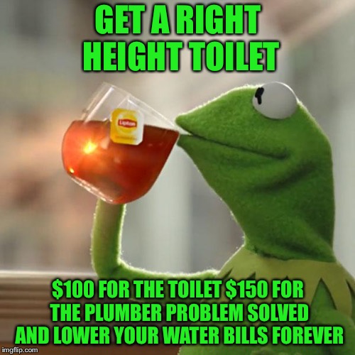 But That's None Of My Business Meme | GET A RIGHT HEIGHT TOILET $100 FOR THE TOILET $150 FOR THE PLUMBER PROBLEM SOLVED AND LOWER YOUR WATER BILLS FOREVER | image tagged in memes,but thats none of my business,kermit the frog | made w/ Imgflip meme maker