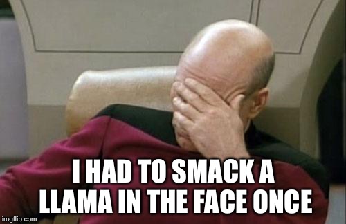 Captain Picard Facepalm Meme | I HAD TO SMACK A LLAMA IN THE FACE ONCE | image tagged in memes,captain picard facepalm | made w/ Imgflip meme maker