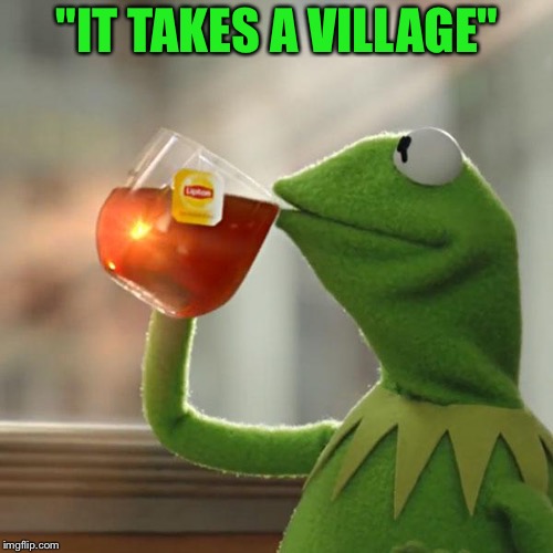 But That's None Of My Business Meme | "IT TAKES A VILLAGE" | image tagged in memes,but thats none of my business,kermit the frog | made w/ Imgflip meme maker