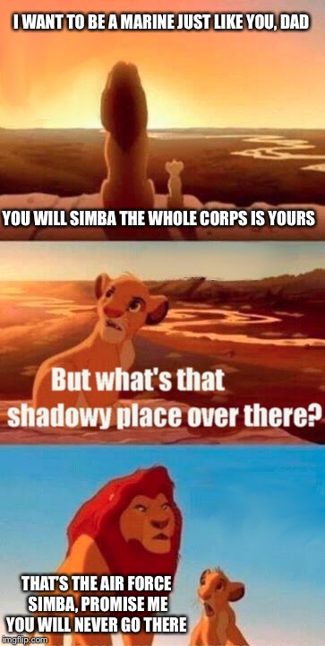 Simba Shadowy Place Meme | I WANT TO BE A MARINE JUST LIKE YOU, DAD; YOU WILL SIMBA THE WHOLE CORPS IS YOURS; THAT’S THE AIR FORCE SIMBA, PROMISE ME YOU WILL NEVER GO THERE | image tagged in memes,simba shadowy place | made w/ Imgflip meme maker