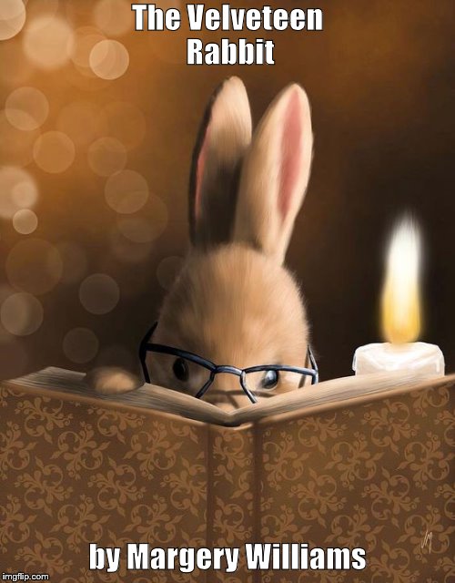 Velveteen Rabbit | The Velveteen Rabbit; by Margery Williams | image tagged in rabbit | made w/ Imgflip meme maker