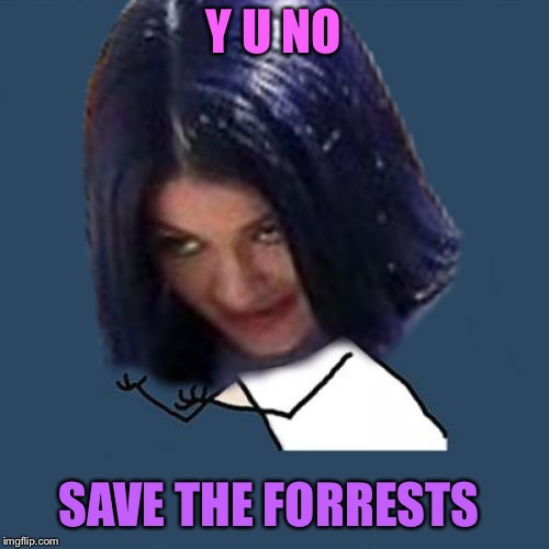 Kylie Y U No | Y U NO SAVE THE FORRESTS | image tagged in kylie y u no | made w/ Imgflip meme maker