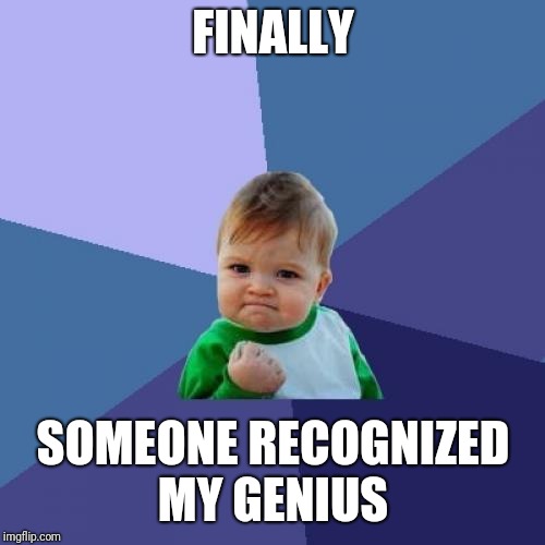 Success Kid Meme | FINALLY SOMEONE RECOGNIZED MY GENIUS | image tagged in memes,success kid | made w/ Imgflip meme maker