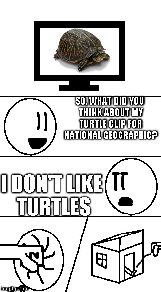 So, what did you think | SO, WHAT DID YOU THINK ABOUT MY TURTLE CLIP FOR NATIONAL GEOGRAPHIC? I DON'T LIKE TURTLES | image tagged in what did you think,memes | made w/ Imgflip meme maker