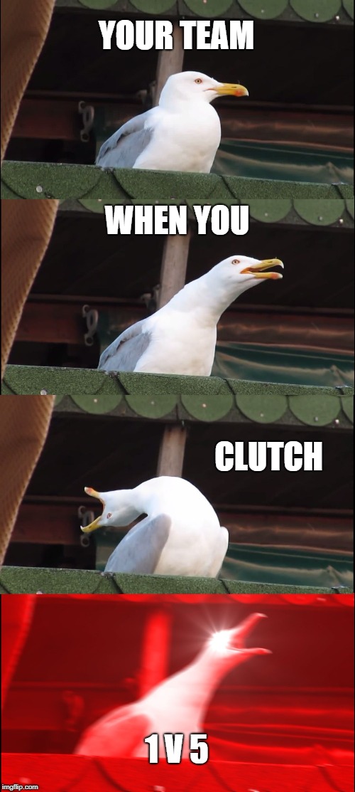 Inhaling Seagull | YOUR TEAM; WHEN YOU; CLUTCH; 1 V 5 | image tagged in memes,inhaling seagull | made w/ Imgflip meme maker