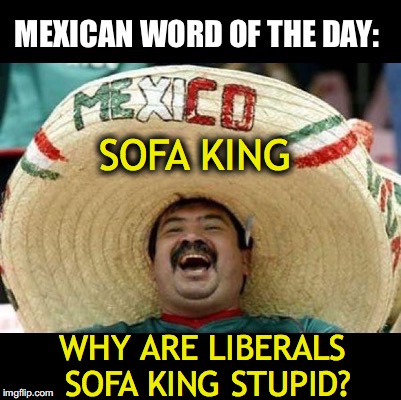 Mexican Word of the Day (LARGE) | SOFA KING; WHY ARE LIBERALS SOFA KING STUPID? | image tagged in mexican word of the day large | made w/ Imgflip meme maker