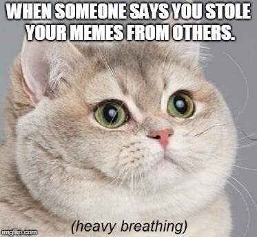 Heavy Breathing Cat Meme | WHEN SOMEONE SAYS YOU STOLE YOUR MEMES FROM OTHERS. | image tagged in memes,heavy breathing cat | made w/ Imgflip meme maker