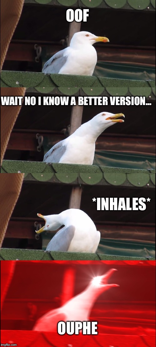 Inhaling Seagull Meme | OOF; WAIT NO I KNOW A BETTER VERSION... *INHALES*; OUPHE | image tagged in memes,inhaling seagull | made w/ Imgflip meme maker