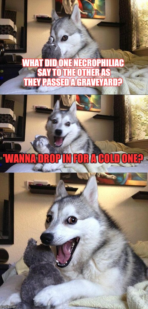 Bad Pun Dog | WHAT DID ONE NECROPHILIAC SAY TO THE OTHER AS THEY PASSED A GRAVEYARD? 'WANNA DROP IN FOR A COLD ONE? | image tagged in memes,bad pun dog | made w/ Imgflip meme maker