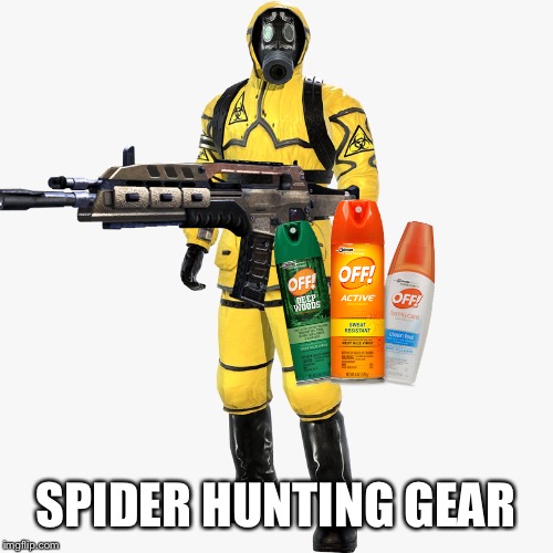 It’s Time For Spiders to go Extinct | SPIDER HUNTING GEAR | image tagged in memes,funny,spiders | made w/ Imgflip meme maker
