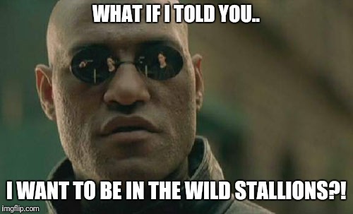 Matrix Morpheus Meme | WHAT IF I TOLD YOU.. I WANT TO BE IN THE WILD STALLIONS?! | image tagged in memes,matrix morpheus | made w/ Imgflip meme maker
