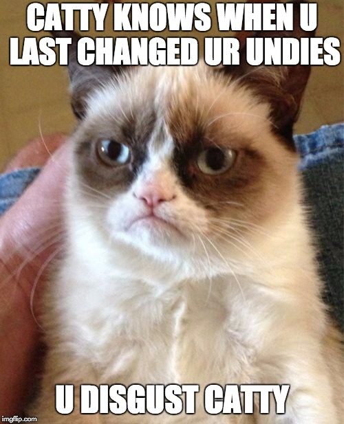 Grumpy Cat | CATTY KNOWS WHEN U LAST CHANGED UR UNDIES; U DISGUST CATTY | image tagged in memes,grumpy cat | made w/ Imgflip meme maker