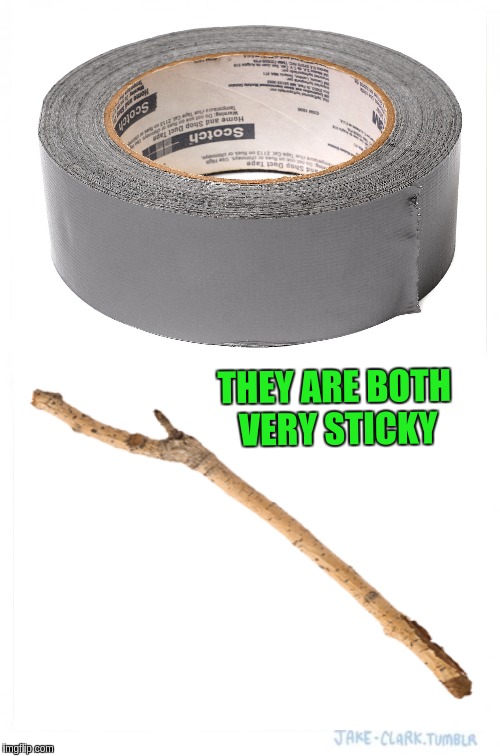 Which one is more sticky? | THEY ARE BOTH VERY STICKY | image tagged in memes,stick | made w/ Imgflip meme maker