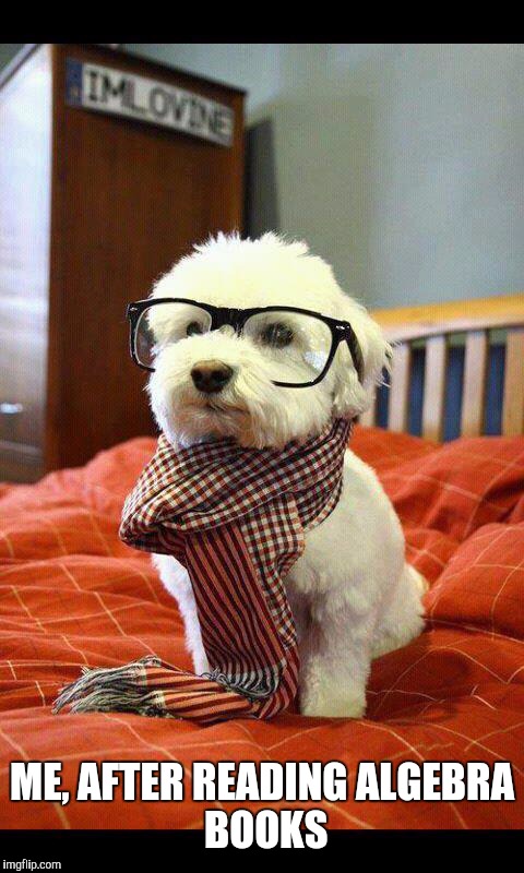 Intelligent Dog | ME,
AFTER READING
ALGEBRA BOOKS | image tagged in memes,intelligent dog | made w/ Imgflip meme maker