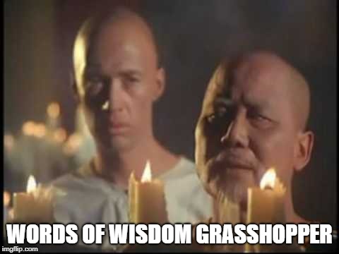 WORDS OF WISDOM GRASSHOPPER | made w/ Imgflip meme maker