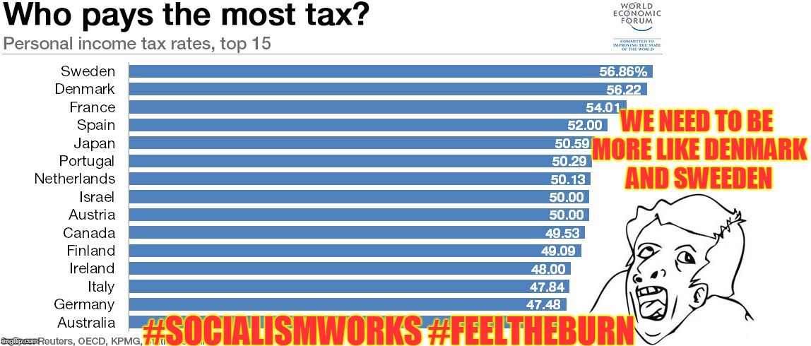 WE NEED TO BE MORE LIKE DENMARK AND SWEEDEN; #SOCIALISMWORKS #FEELTHEBURN | image tagged in taxes are great | made w/ Imgflip meme maker