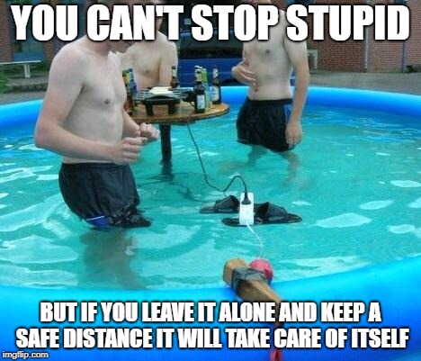 If you're gonna be stupid | YOU CAN'T STOP STUPID; BUT IF YOU LEAVE IT ALONE AND KEEP A SAFE DISTANCE IT WILL TAKE CARE OF ITSELF | image tagged in if you're gonna be stupid | made w/ Imgflip meme maker