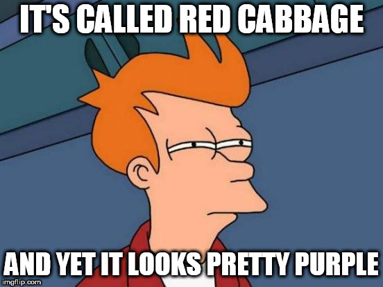 Futurama Fry | IT'S CALLED RED CABBAGE; AND YET IT LOOKS PRETTY PURPLE | image tagged in memes,futurama fry | made w/ Imgflip meme maker