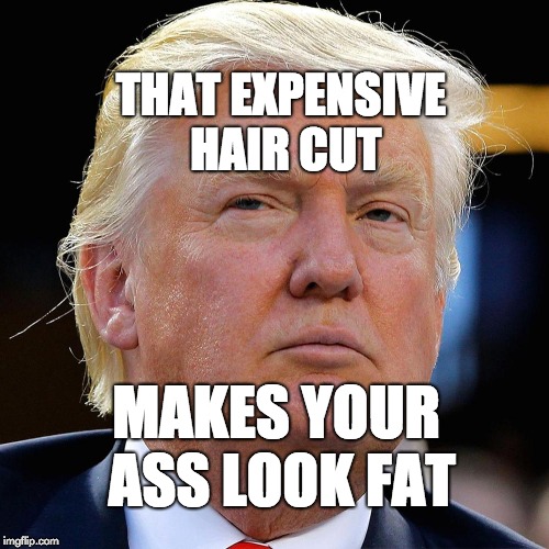 That expensive hair cut makes your ass look fat. | THAT EXPENSIVE HAIR CUT; MAKES YOUR ASS LOOK FAT | image tagged in donald trump,trump,maga,usa | made w/ Imgflip meme maker