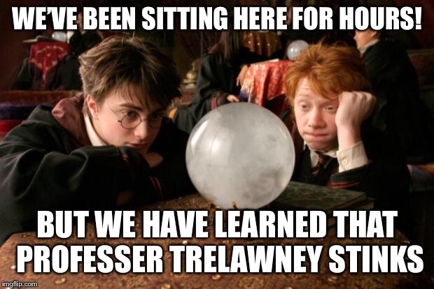 Harry Potter meme | WE’VE BEEN SITTING HERE FOR HOURS! BUT WE HAVE LEARNED THAT PROFESSER TRELAWNEY STINKS | image tagged in harry potter meme | made w/ Imgflip meme maker