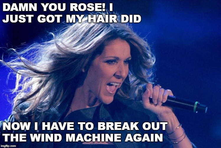 Celine dion | DAMN YOU ROSE! I JUST GOT MY HAIR DID; NOW I HAVE TO BREAK OUT THE WIND MACHINE AGAIN | image tagged in celine dion | made w/ Imgflip meme maker