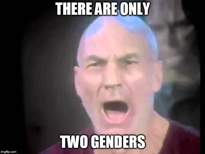 This should answer the great question | THERE ARE ONLY; TWO GENDERS | image tagged in picard lights,gender,sjw | made w/ Imgflip meme maker