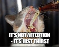 IT'S NOT AFFECTION - IT'S JUST THIRST | made w/ Imgflip meme maker