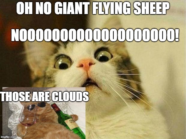 Scared Cat Meme | OH NO GIANT FLYING SHEEP; NOOOOOOOOOOOOOOOOOOO! THOSE ARE CLOUDS | image tagged in memes,scared cat | made w/ Imgflip meme maker