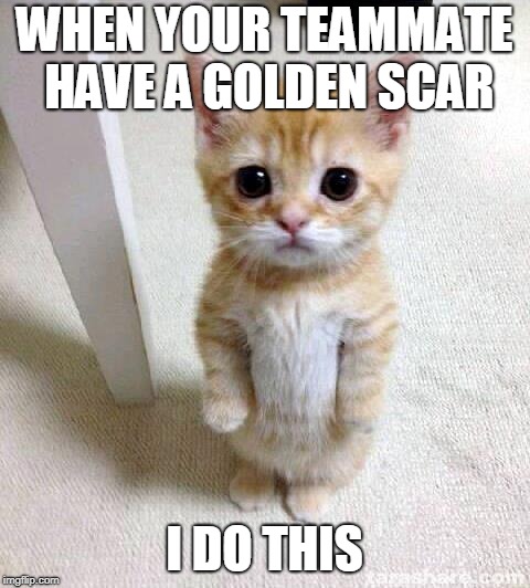 Cute Cat Meme | WHEN YOUR TEAMMATE HAVE A GOLDEN SCAR; I DO THIS | image tagged in memes,cute cat | made w/ Imgflip meme maker