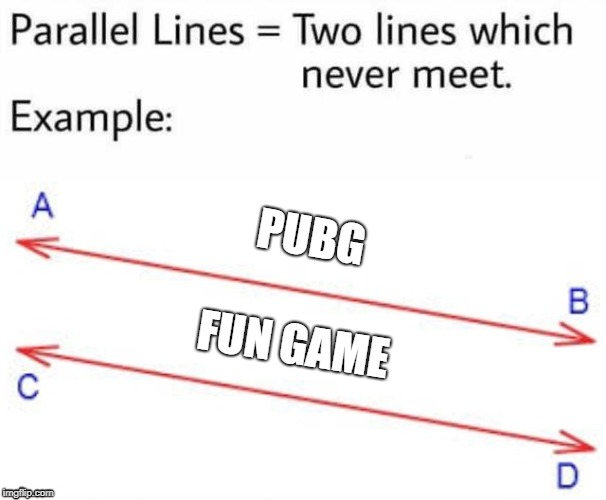 Parallel Lines | PUBG; FUN GAME | image tagged in parallel lines | made w/ Imgflip meme maker