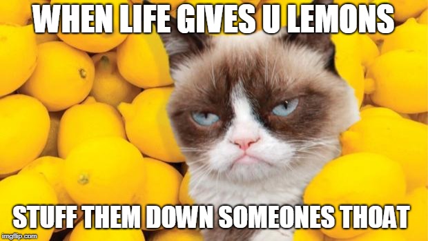 Grumpy Cat lemons | WHEN LIFE GIVES U LEMONS; STUFF THEM DOWN SOMEONES THOAT | image tagged in grumpy cat lemons | made w/ Imgflip meme maker