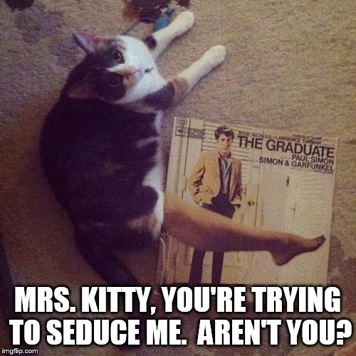 MRS. KITTY, YOU'RE TRYING TO SEDUCE ME.  AREN'T YOU? | made w/ Imgflip meme maker