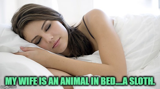sleeping woman | MY WIFE IS AN ANIMAL IN BED....A SLOTH. | image tagged in sleeping woman,wife,funny,memes,sloth,funny memes | made w/ Imgflip meme maker