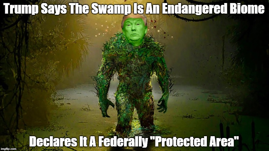 "Trump Says The Swamp Is An Endangered Biome..." | Trump Says The Swamp Is An Endangered Biome Declares It A Federally "Protected Area" | image tagged in despicable donald,deplorable donald,destestable donald,dishonest donald,dishonorable donald,mafia don | made w/ Imgflip meme maker