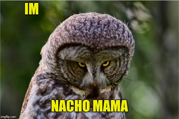 IM NACHO MAMA | made w/ Imgflip meme maker