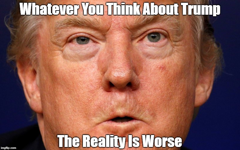 "Whatever You Think About Trump, The Reality Is Worse" | Whatever You Think About Trump The Reality Is Worse | image tagged in deplorable donald,despicable donald,devious donald,detestable donald,dishonorable donald,dishonest donald | made w/ Imgflip meme maker