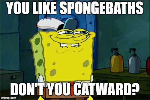 Don't You Squidward Meme | YOU LIKE SPONGEBATHS DON'T YOU CATWARD? | image tagged in memes,dont you squidward | made w/ Imgflip meme maker