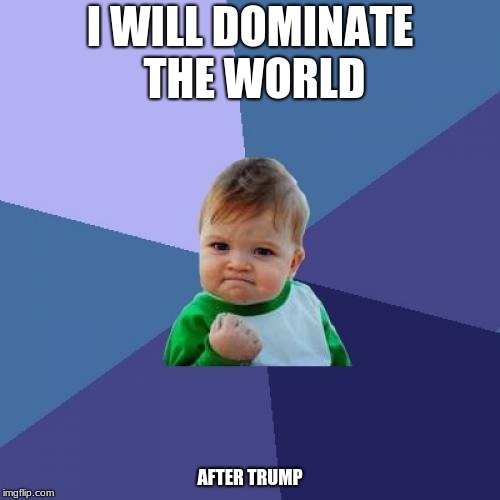 Success Kid | I WILL DOMINATE THE WORLD; AFTER TRUMP | image tagged in memes,success kid | made w/ Imgflip meme maker
