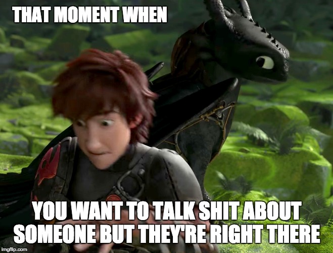 THAT MOMENT WHEN; YOU WANT TO TALK SHIT ABOUT SOMEONE BUT THEY'RE RIGHT THERE | image tagged in how to train your dragon,toothless,hiccup | made w/ Imgflip meme maker