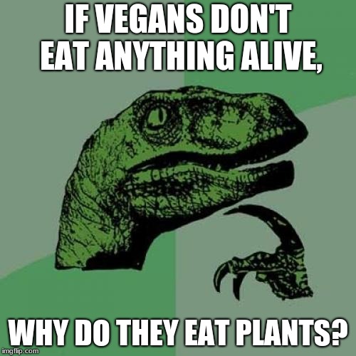 Philosoraptor Meme | IF VEGANS DON'T EAT ANYTHING ALIVE, WHY DO THEY EAT PLANTS? | image tagged in memes,philosoraptor | made w/ Imgflip meme maker