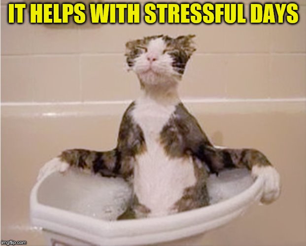 IT HELPS WITH STRESSFUL DAYS | made w/ Imgflip meme maker