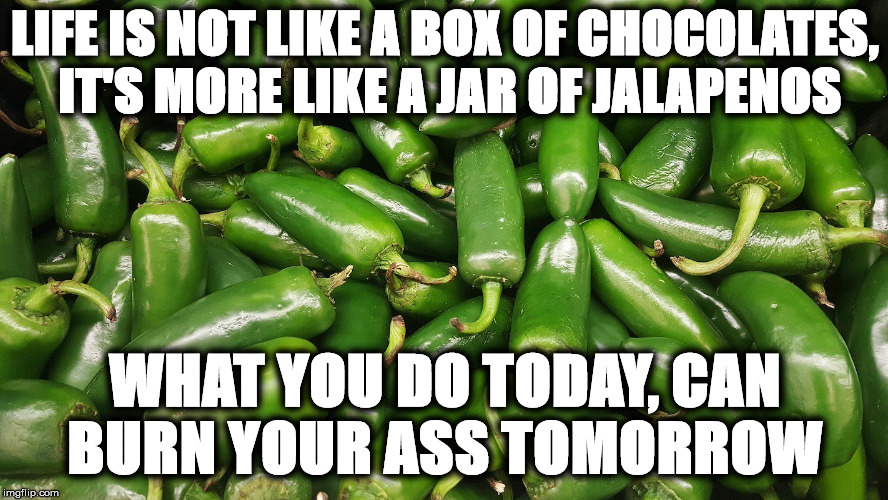 LIFE IS NOT LIKE A BOX OF CHOCOLATES, 
IT'S MORE LIKE A JAR OF JALAPENOS; WHAT YOU DO TODAY,
CAN BURN YOUR ASS TOMORROW | image tagged in jaa | made w/ Imgflip meme maker