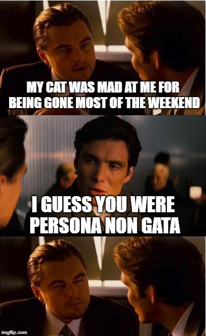 Based on a true story... | MY CAT WAS MAD AT ME FOR BEING GONE MOST OF THE WEEKEND; I GUESS YOU WERE PERSONA NON GATA | image tagged in memes,inception | made w/ Imgflip meme maker