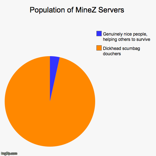 Population of MineZ Servers | image tagged in funny,pie charts,MineZ | made w/ Imgflip chart maker