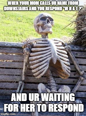 Waiting for mom to respond meme | WHEN YOUR MOM CALLS UR NAME FROM DOWNSTAIRS AND YOU RESPOND "W H A T ?"; AND UR WAITING FOR HER TO RESPOND | image tagged in memes,waiting skeleton | made w/ Imgflip meme maker