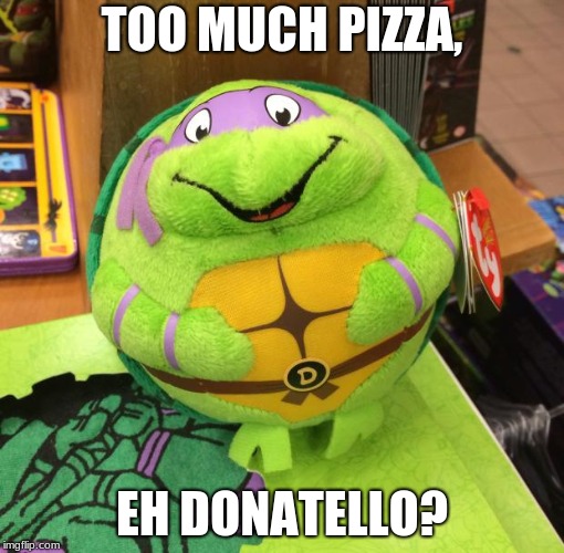 kill me now TMNT turtle | TOO MUCH PIZZA, EH DONATELLO? | image tagged in kill me now tmnt turtle | made w/ Imgflip meme maker