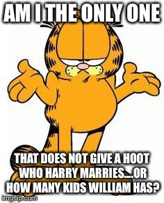 Garfield shrug | AM I THE ONLY ONE; THAT DOES NOT GIVE A HOOT WHO HARRY MARRIES....OR HOW MANY KIDS WILLIAM HAS? | image tagged in garfield shrug | made w/ Imgflip meme maker