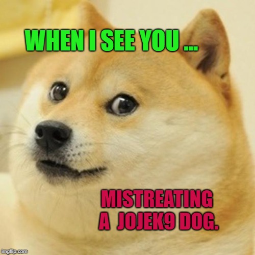 Doge Meme | WHEN I SEE YOU ... MISTREATING A  JOJEK9 DOG. | image tagged in memes,doge | made w/ Imgflip meme maker