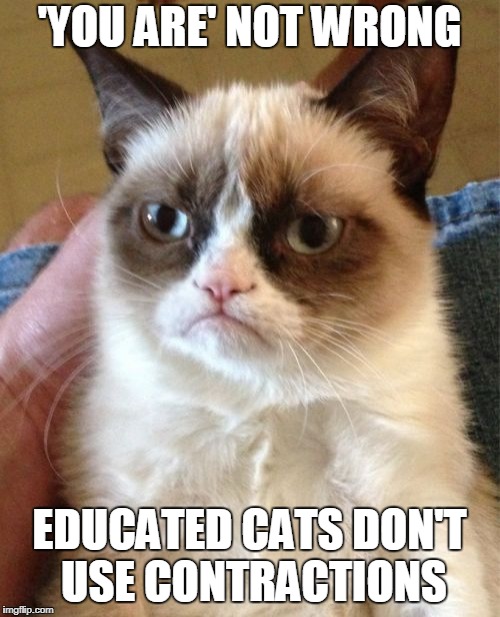 Grumpy Cat Meme | 'YOU ARE' NOT WRONG EDUCATED CATS DON'T USE CONTRACTIONS | image tagged in memes,grumpy cat | made w/ Imgflip meme maker